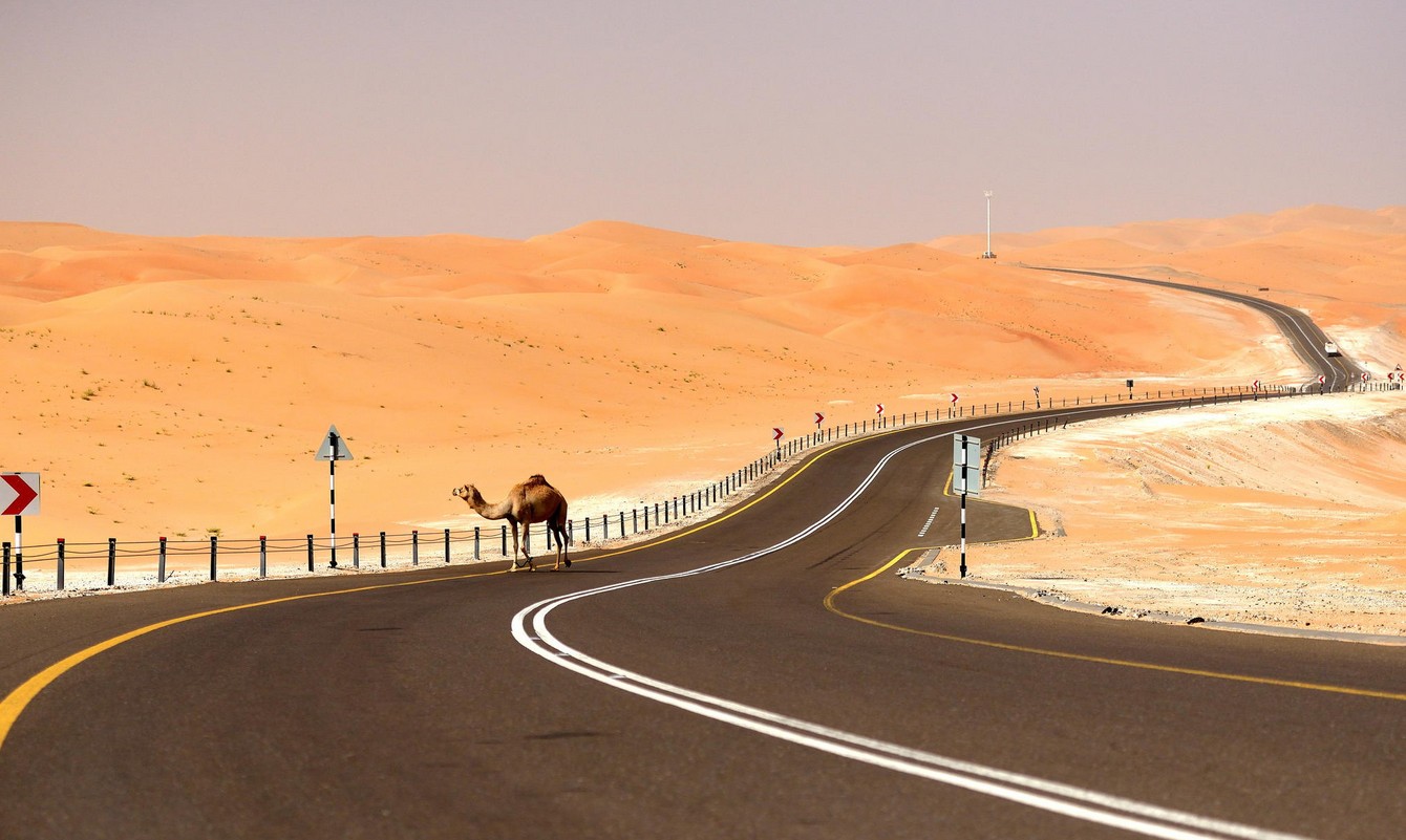 Reliable Maps and Road Planning Support for Smooth UAE Road Journeys